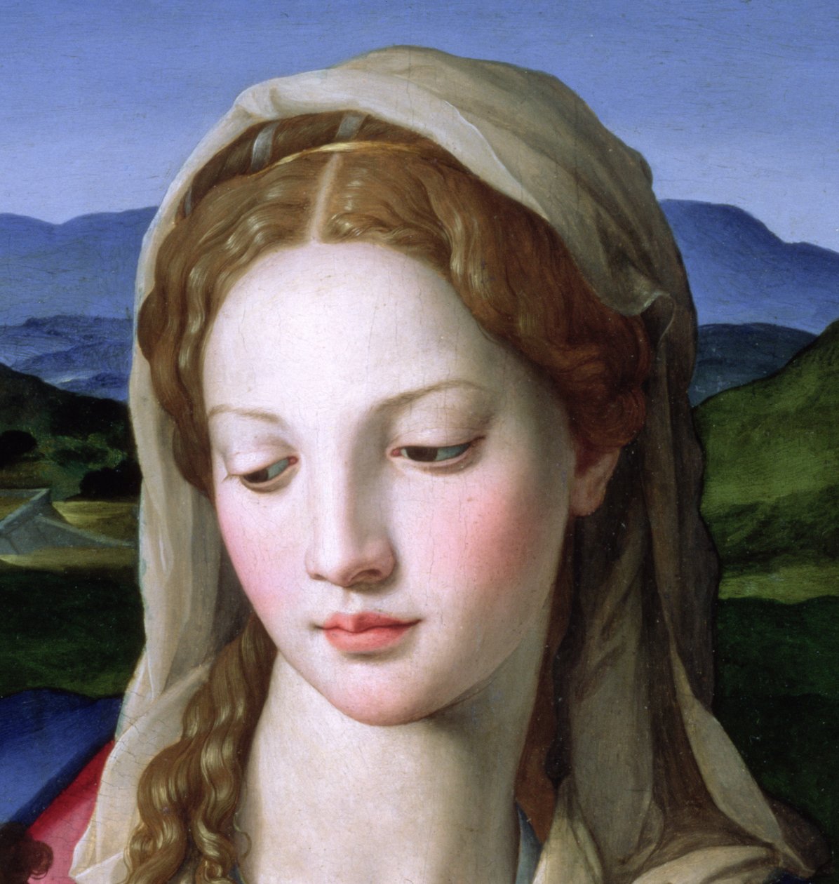 Sagrada Familia con Santa Ana y el niño San Juan Bautista, c.1550 (detalle) de Agnolo Bronzino