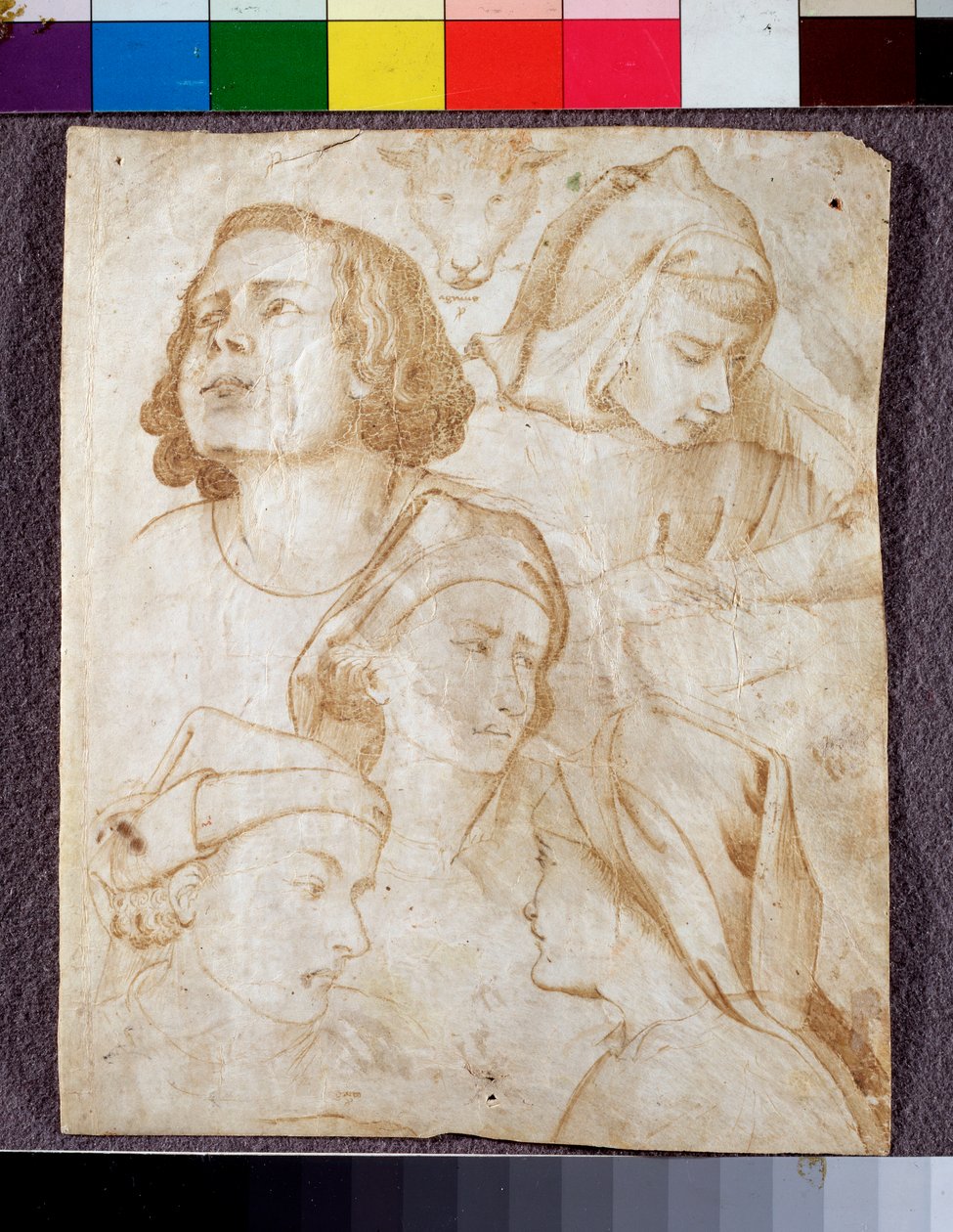 Cabezas de Agnolo Gaddi