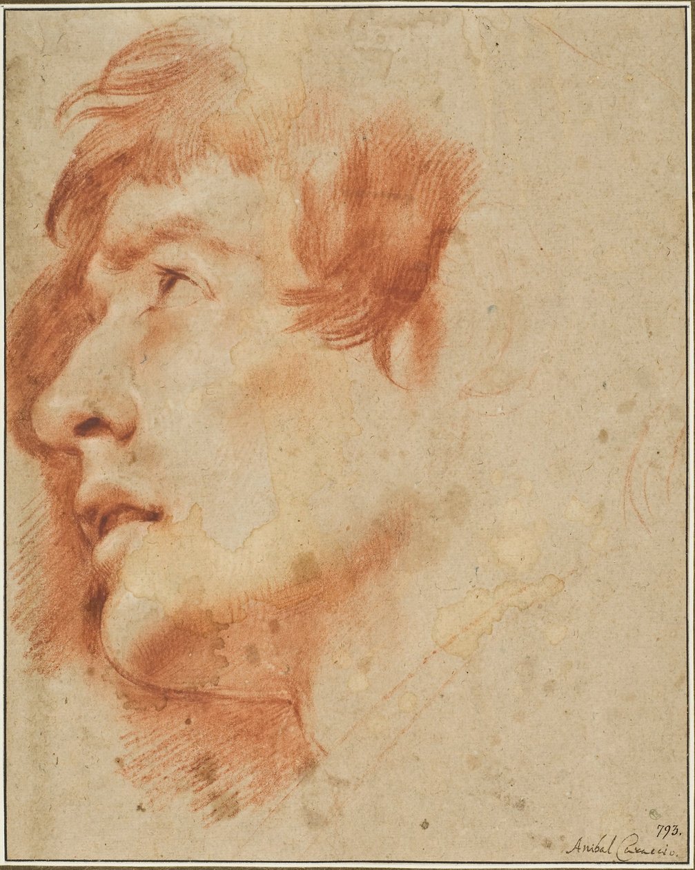 Cabeza de un joven mirando hacia arriba de Agostino Carracci