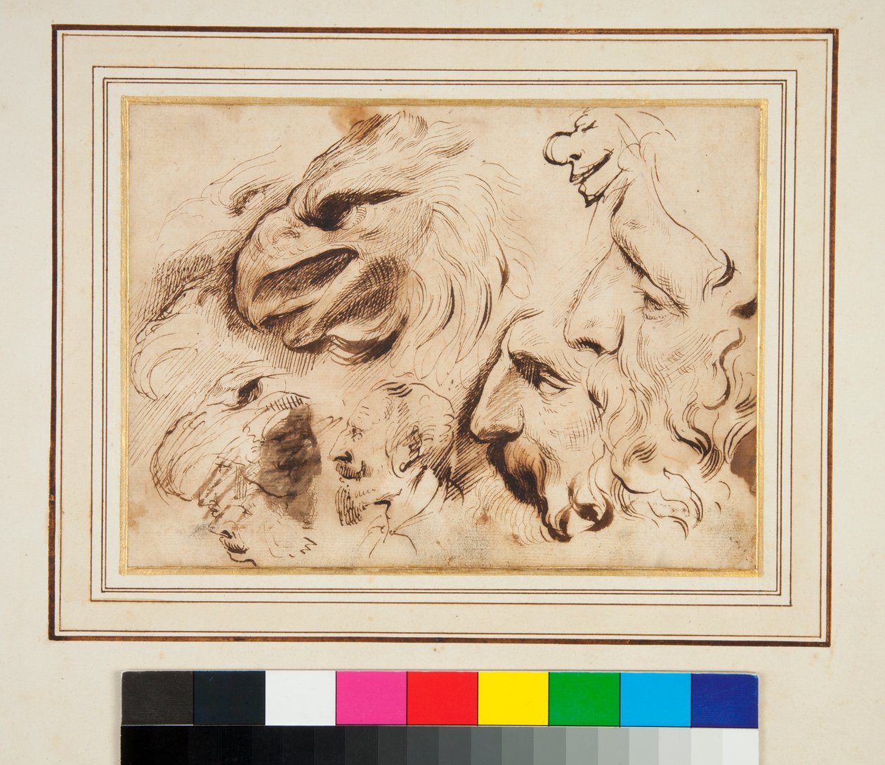 Hoja de Estudios con la Cabeza de un Águila y Perfiles y Caricaturas de Hombres de Agostino Carracci