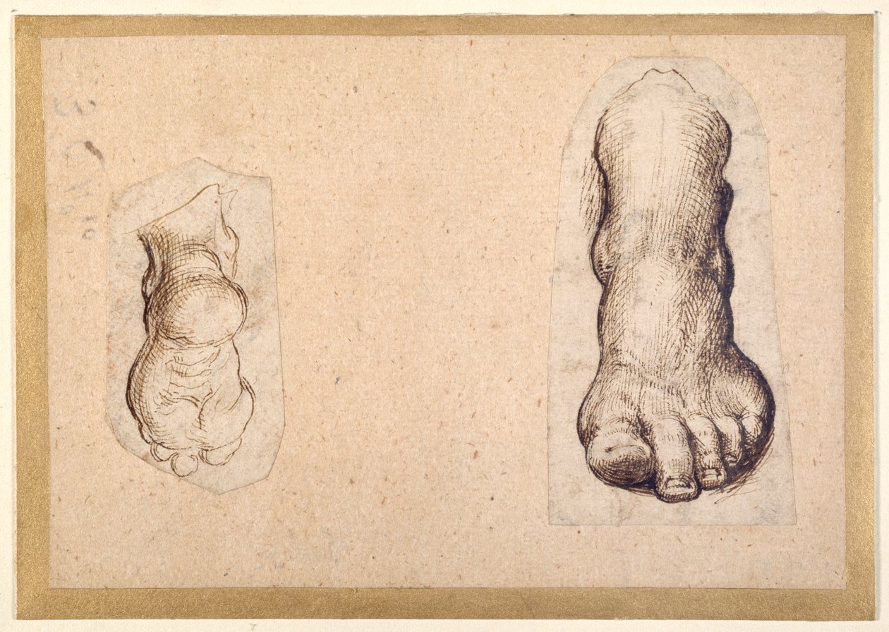 Dos estudios de un pie en escorzo de Agostino Carracci