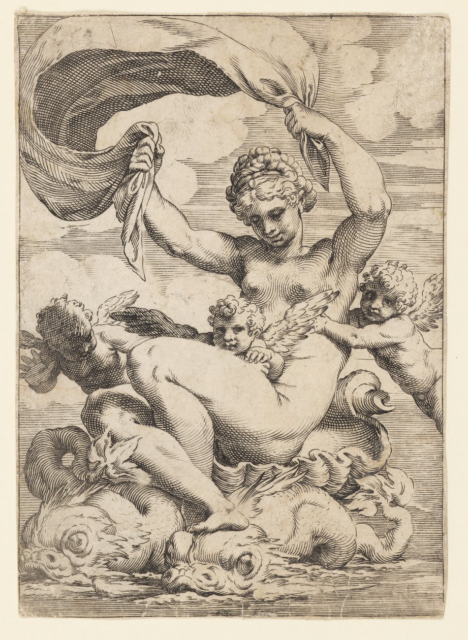 Venus (o Galatea) y Cupidos sostenidos por delfines de Agostino Carracci