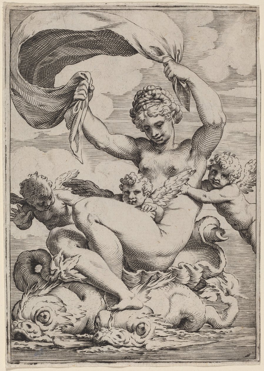 Venus o Galatea sostenida por delfines de Agostino Carracci