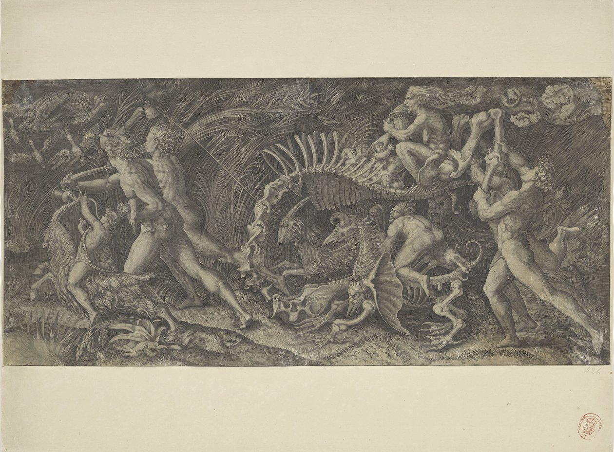La carcasa
Lo stregozzo de Agostino Veneziano