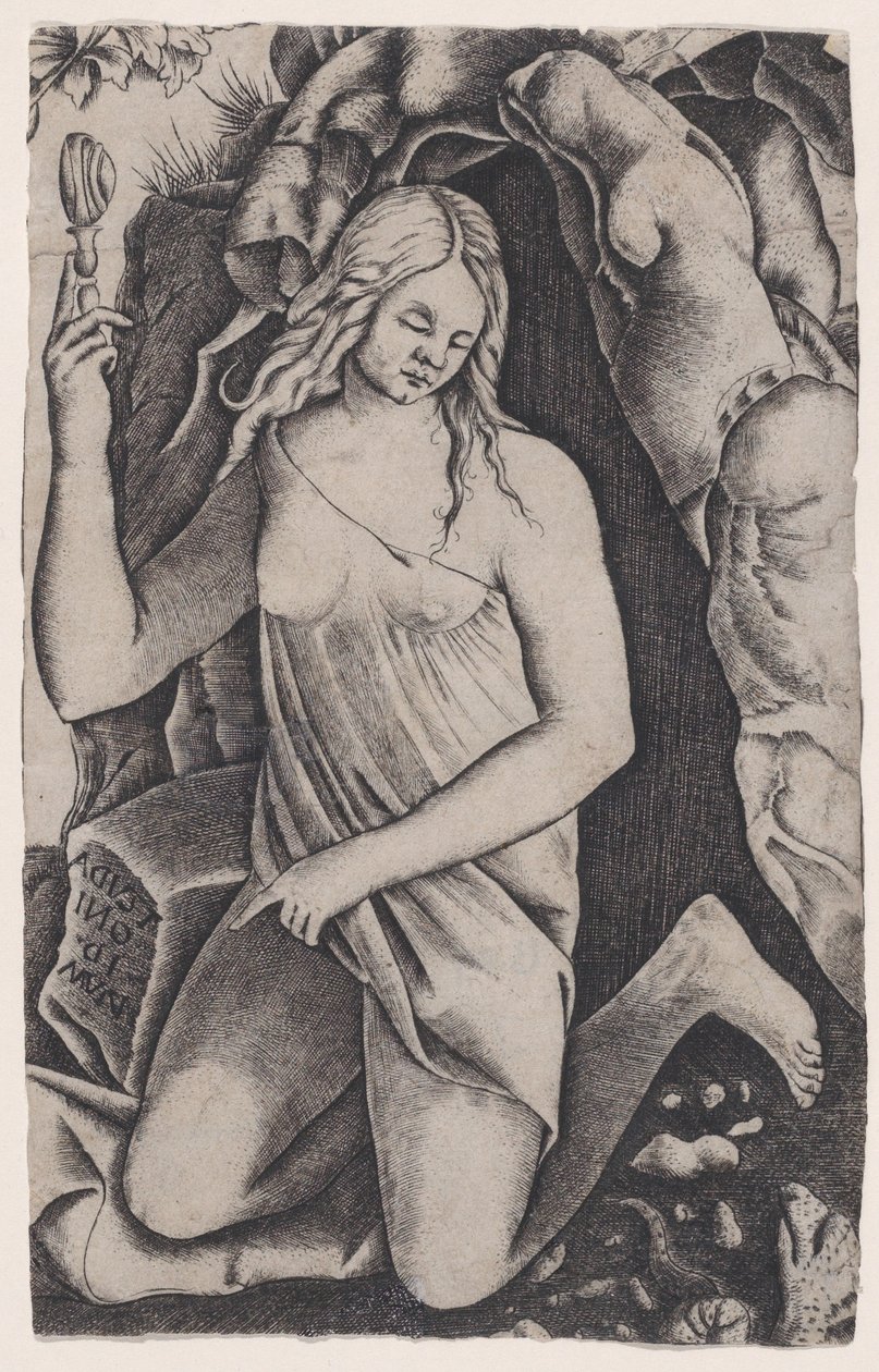 Santa Margarita, ca. 1514-36 de Agostino Veneziano