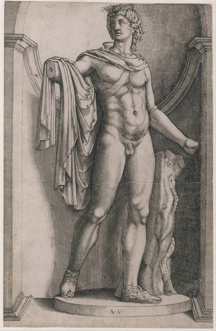 Speculum Romanae Magnificentiae: Apolo Belvedere de Agostino Veneziano