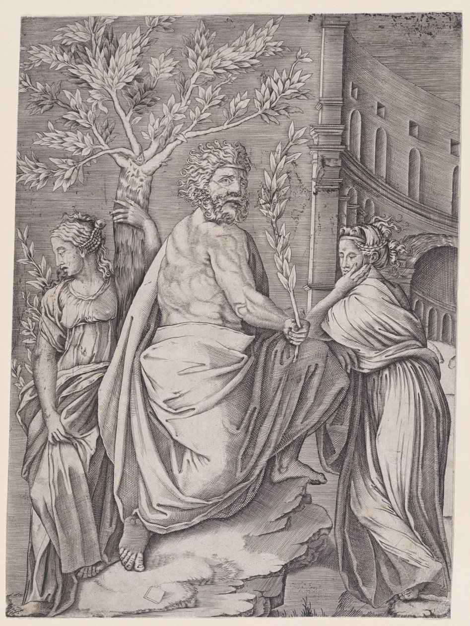 El hombre con una rama de laurel, ca. 1514-36 de Agostino Veneziano