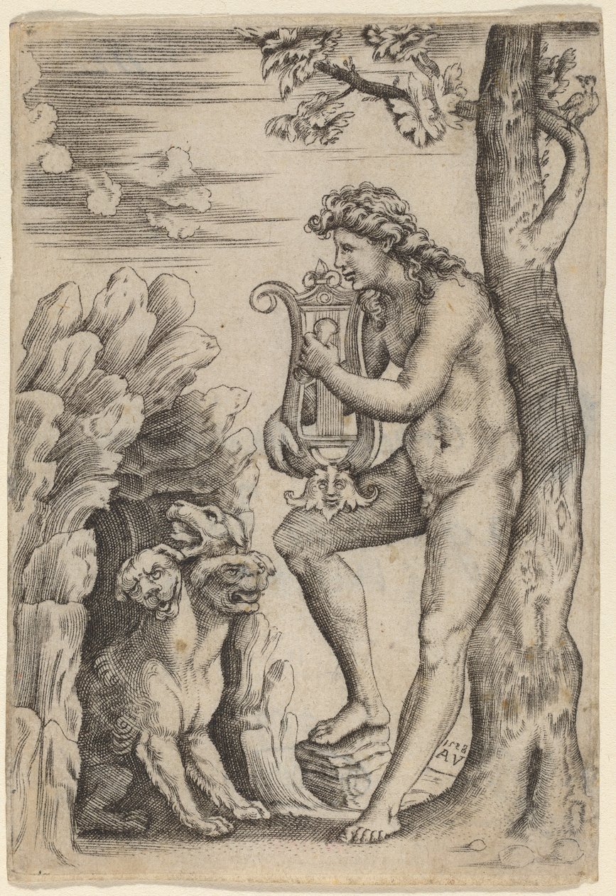 Orfeo de Agostino dei Musi