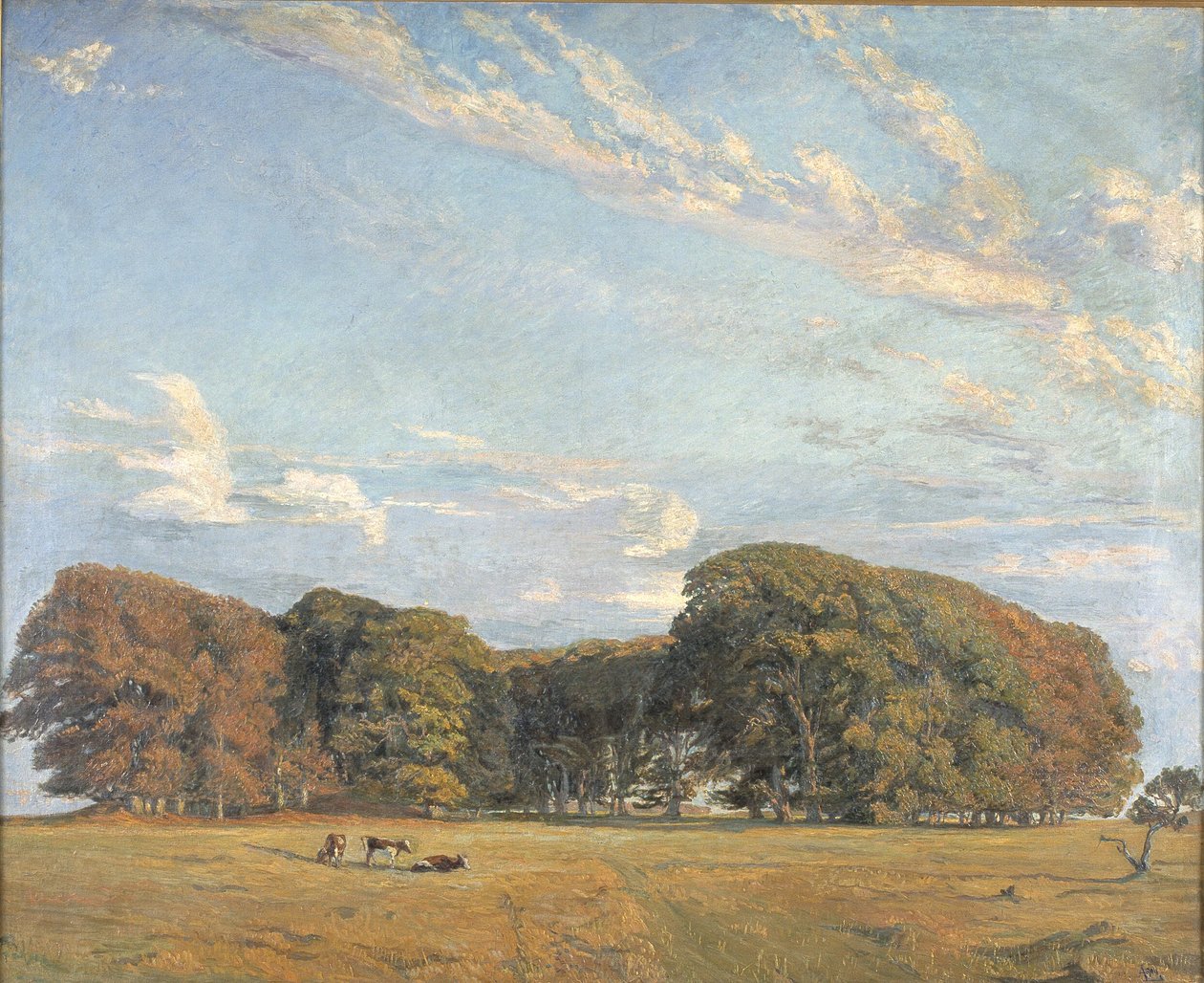 Llanura de la Ermita de Aksel M. Lassen