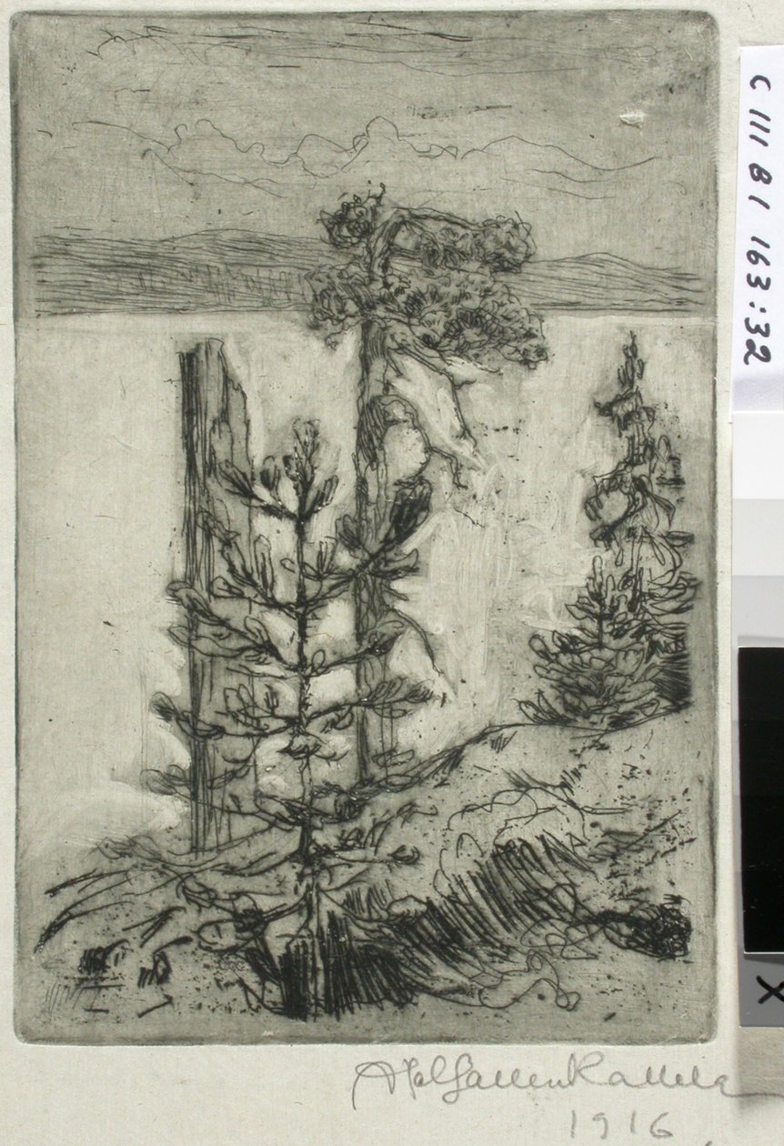 Paisaje junto al lago de Akseli Gallen-Kallela