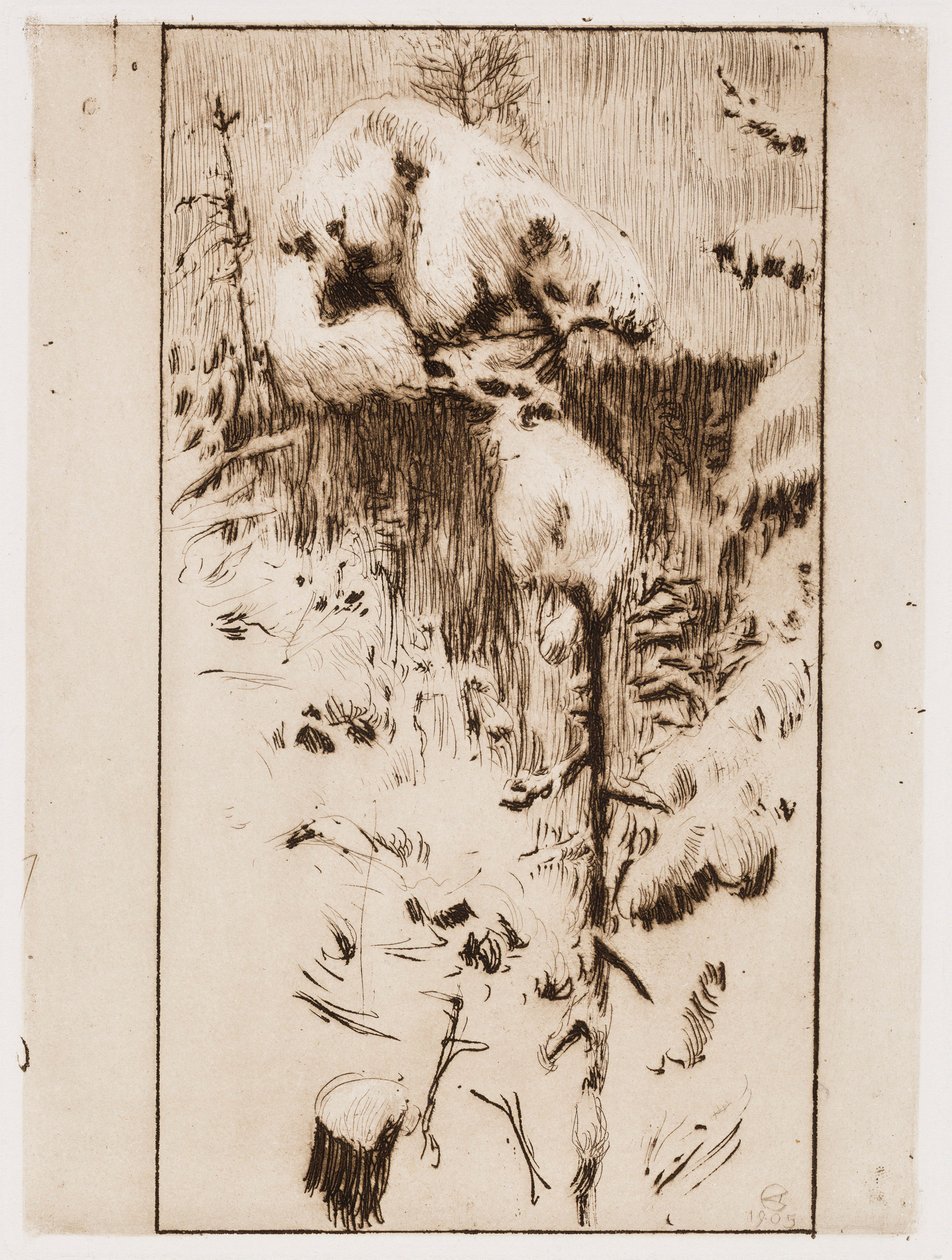 Pino nevado de Akseli Gallen-Kallela