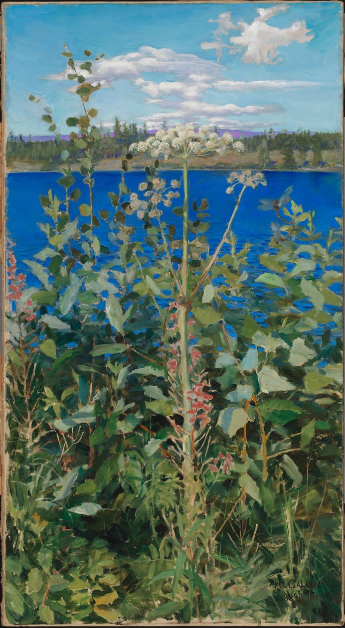 Angélica silvestre de Akseli Gallen-Kallela