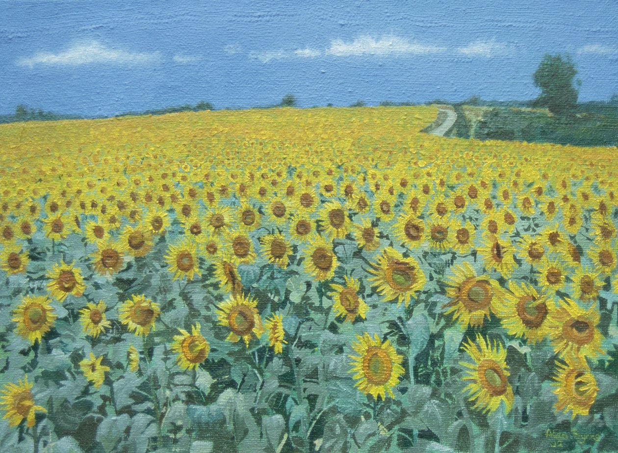 Campo de girasoles, 2002 de Alan Byrne