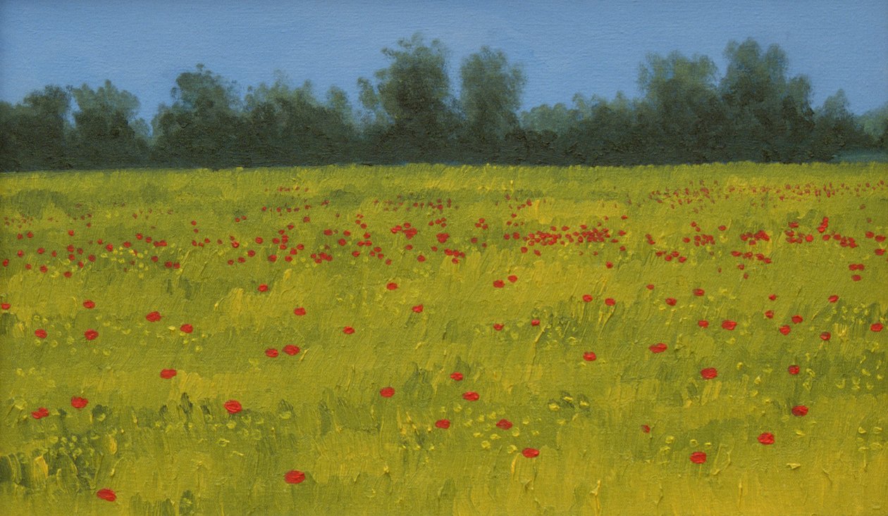 Campo amarillo con amapolas, 2002 de Alan Byrne