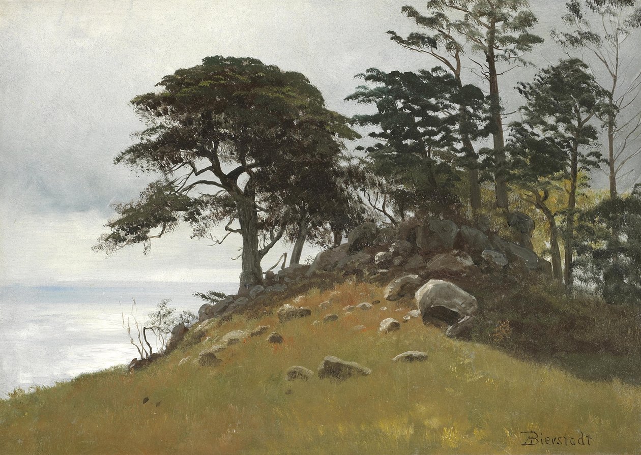 Cypress Point, Monterey de Albert Bierstadt