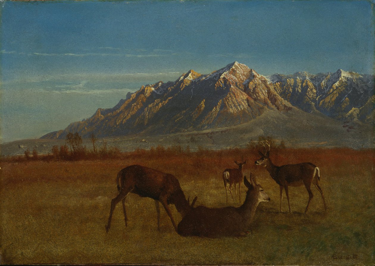 Ciervos en el hogar de la montaña de Albert Bierstadt