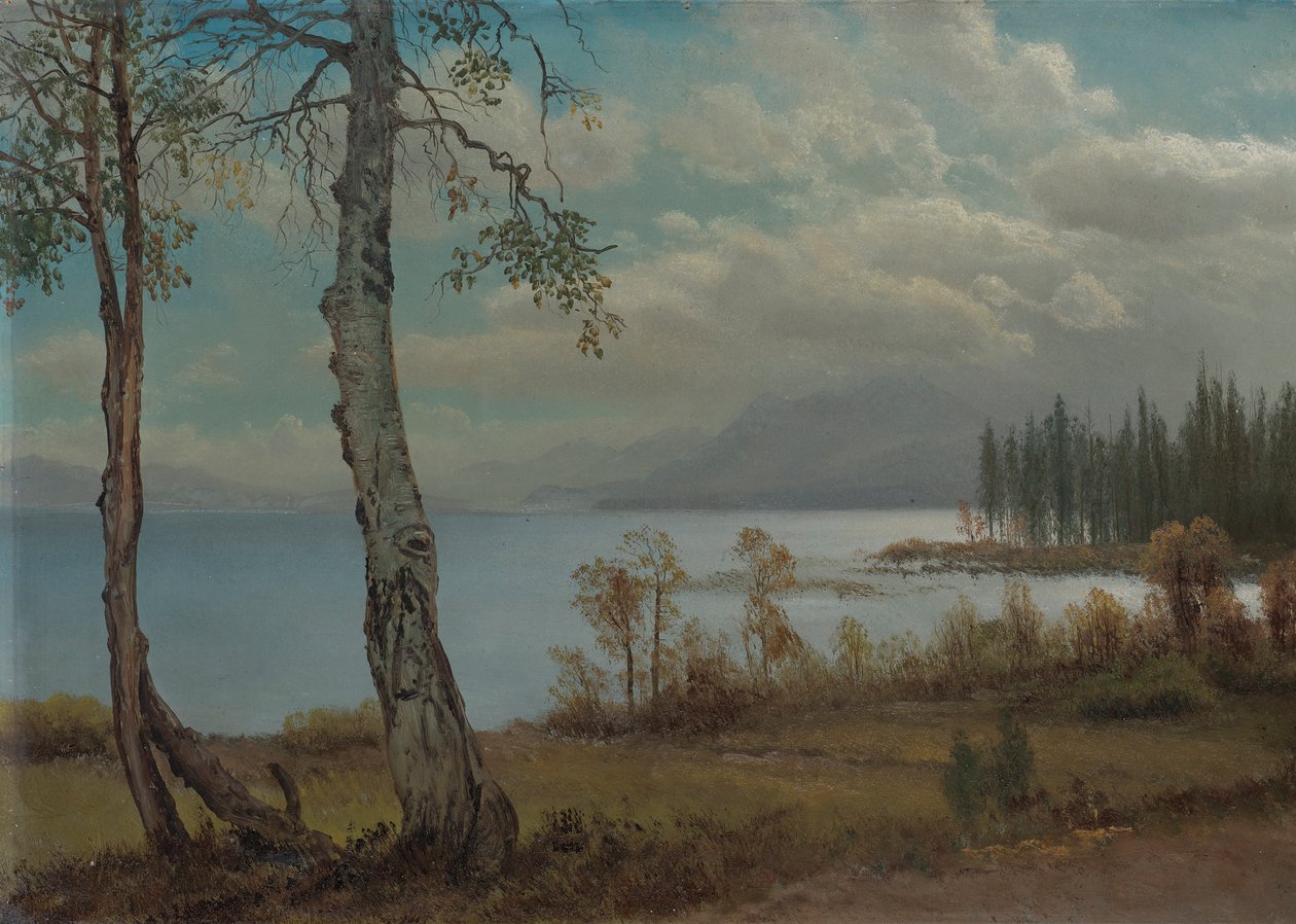 Lago Tahoe de Albert Bierstadt