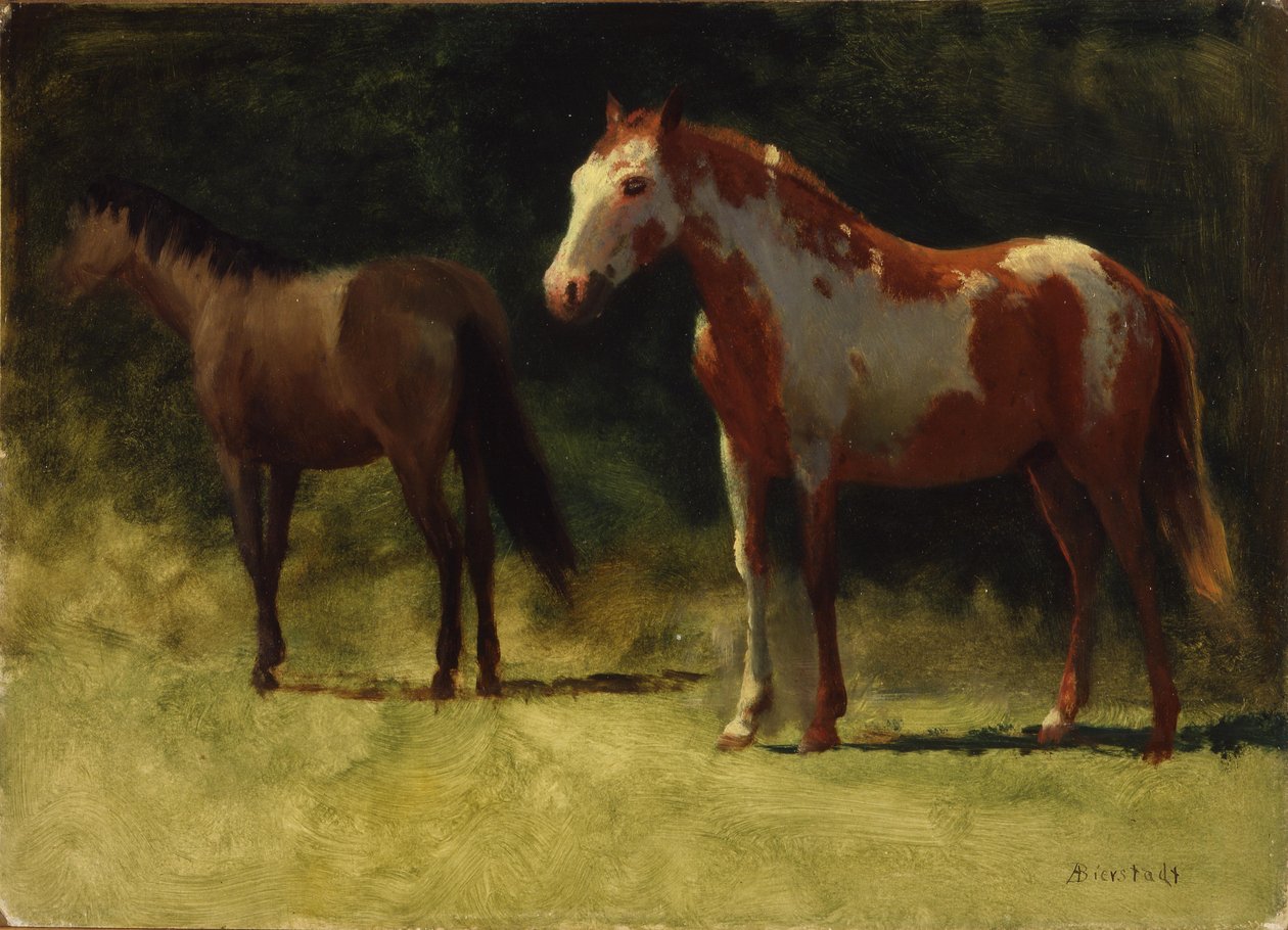Dos caballos de Albert Bierstadt