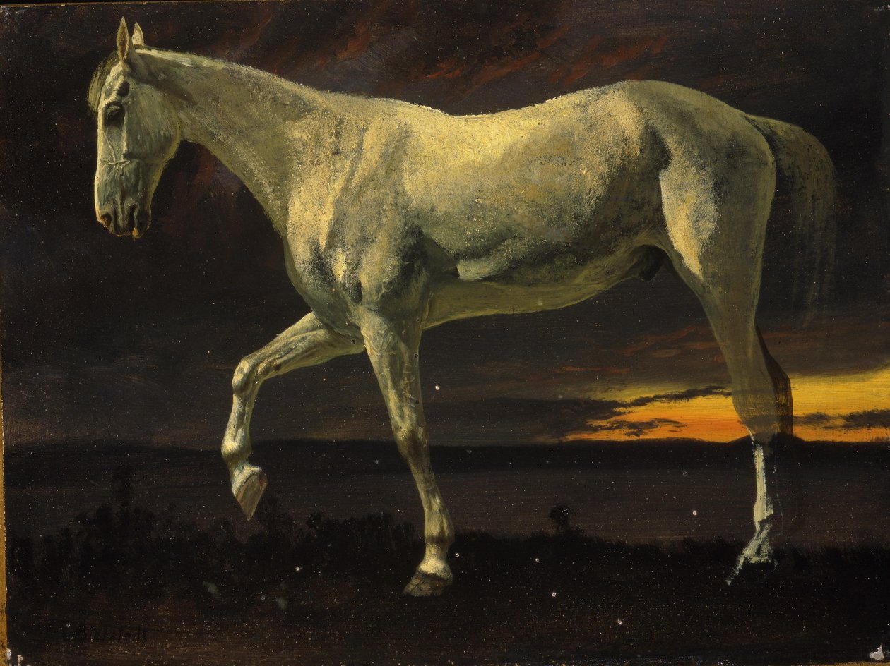 Caballo blanco y atardecer de Albert Bierstadt