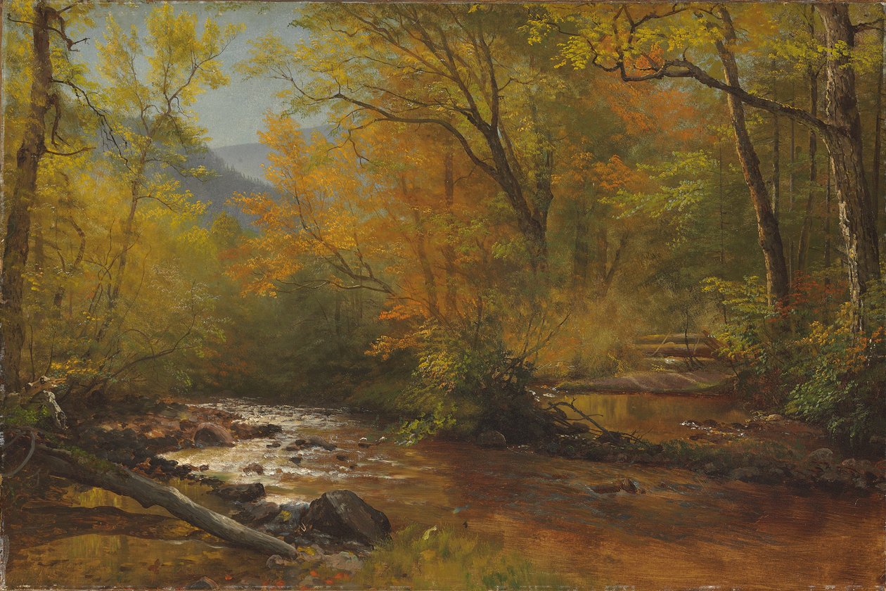 Arroyo en el bosque de Albert Bierstadt