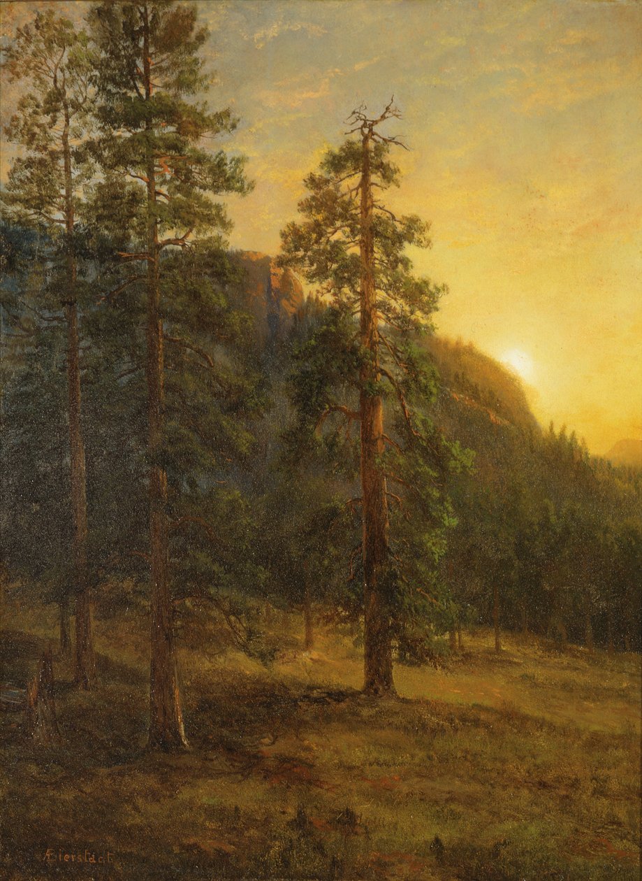 Secuoyas de California de Albert Bierstadt