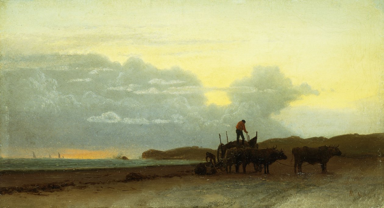 Vista costera, Newport, 1861 de Albert Bierstadt