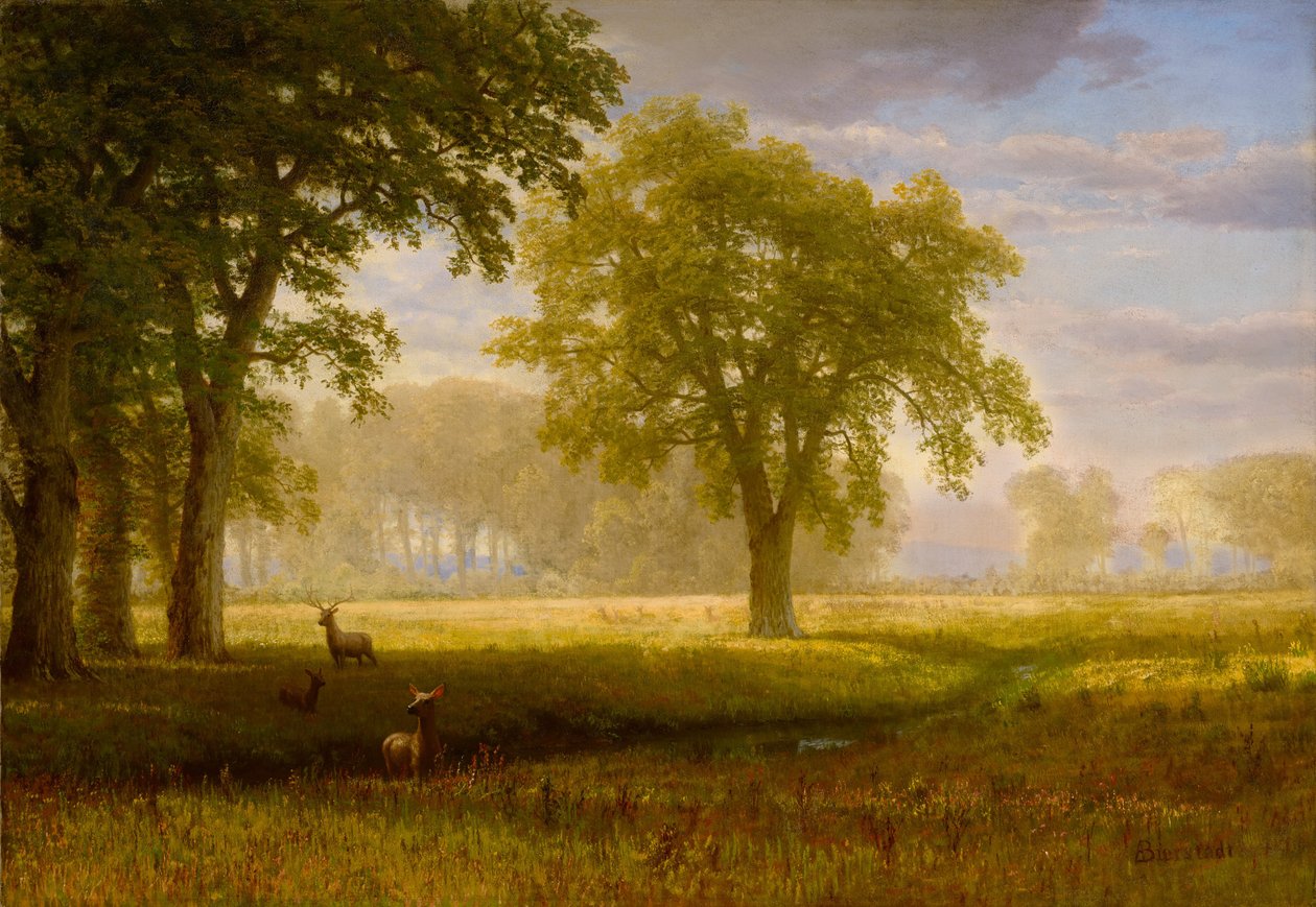 Alce en Oak Grove (Tuolumne Meadows) de Albert Bierstadt