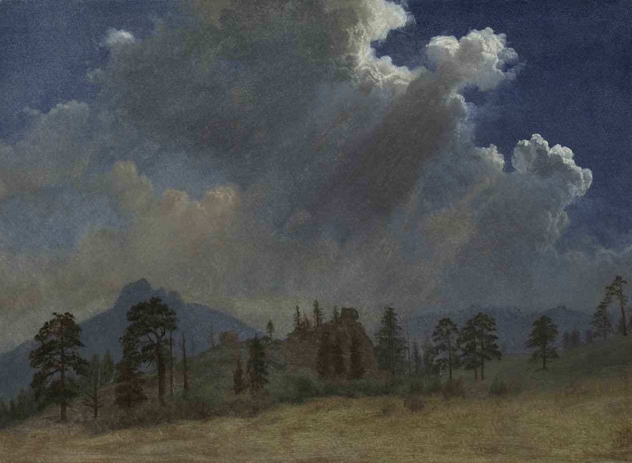 Abetos y nubes de tormenta de Albert Bierstadt