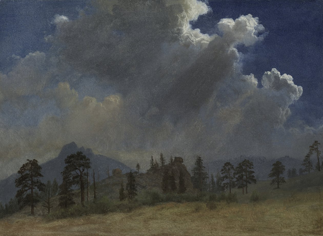 Abetos y nubes de tormenta, c.1870 (óleo sobre papel montado sobre lienzo) de Albert Bierstadt