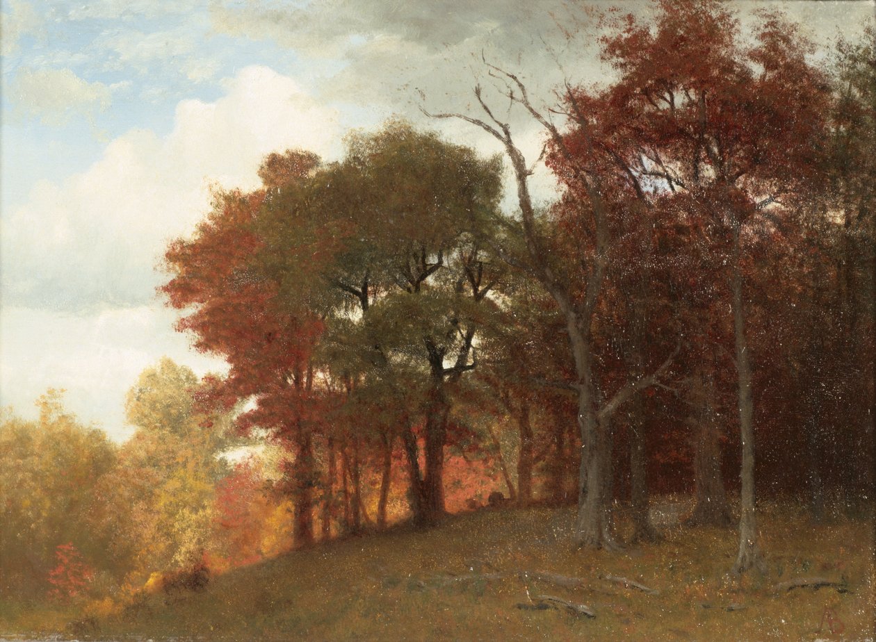 Hastings en el Río Hudson, 1865 de Albert Bierstadt
