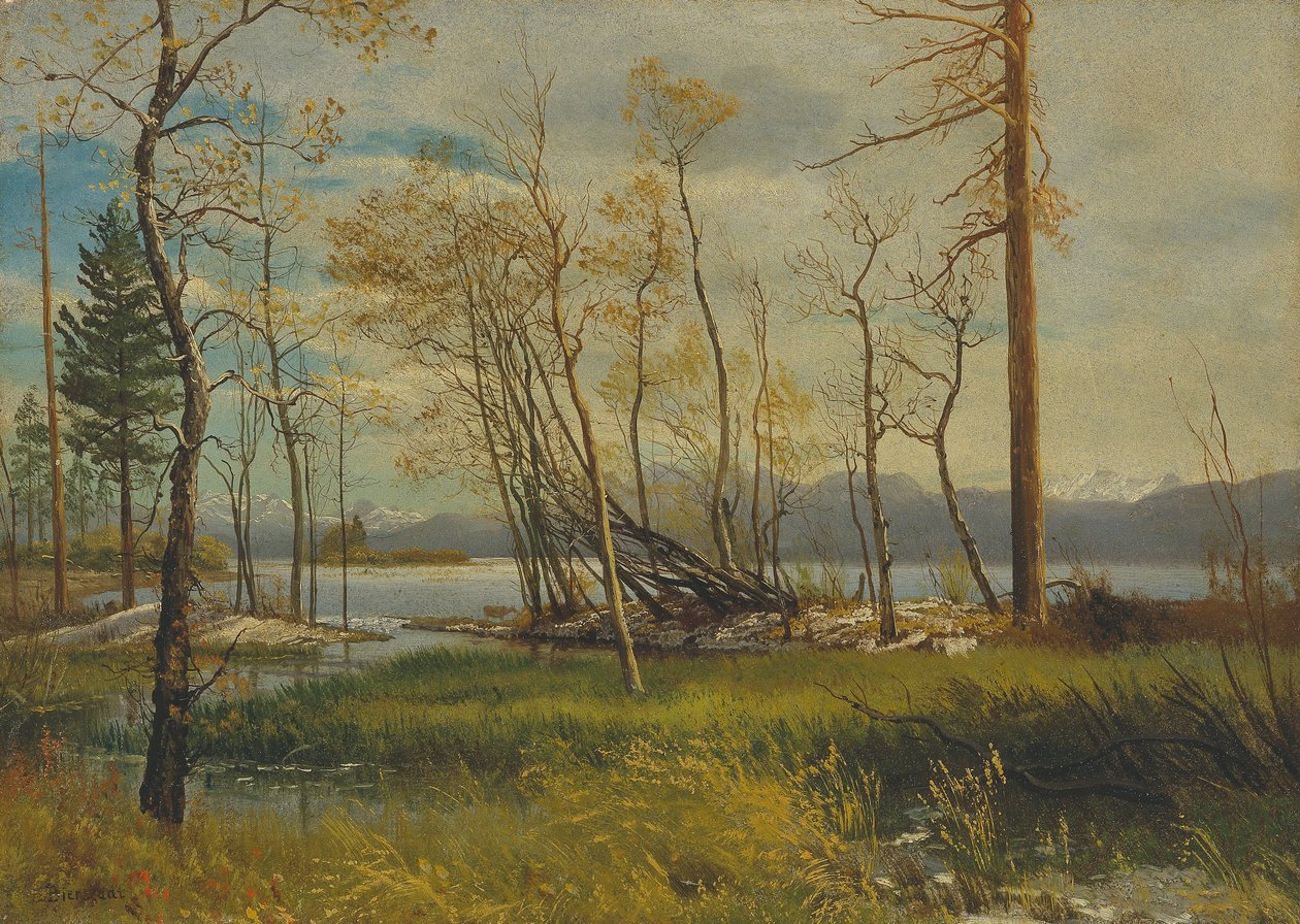 Lago Tahoe de Albert Bierstadt