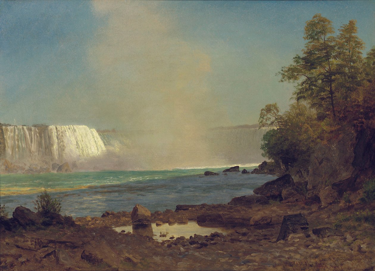 Cataratas del Niágara, 1863 de Albert Bierstadt