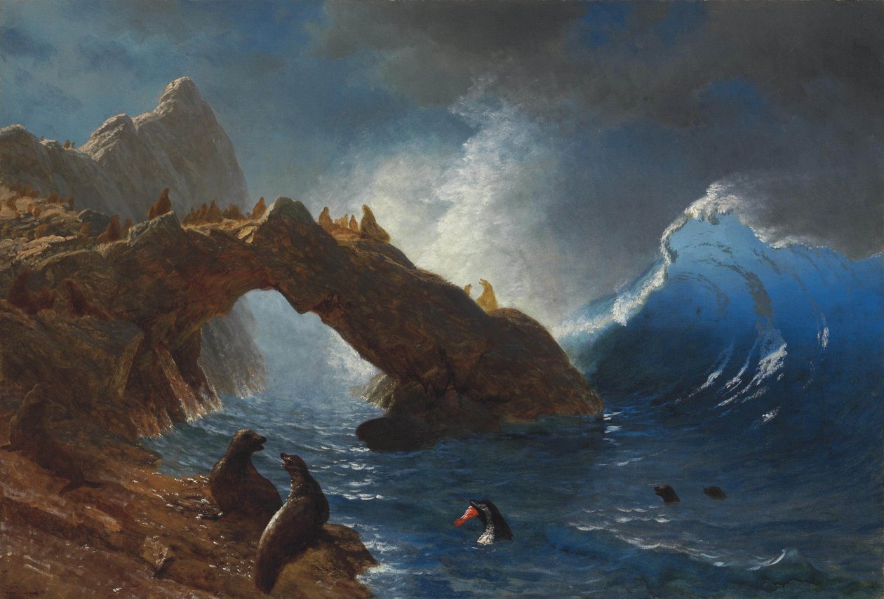 Focas en las rocas de Albert Bierstadt