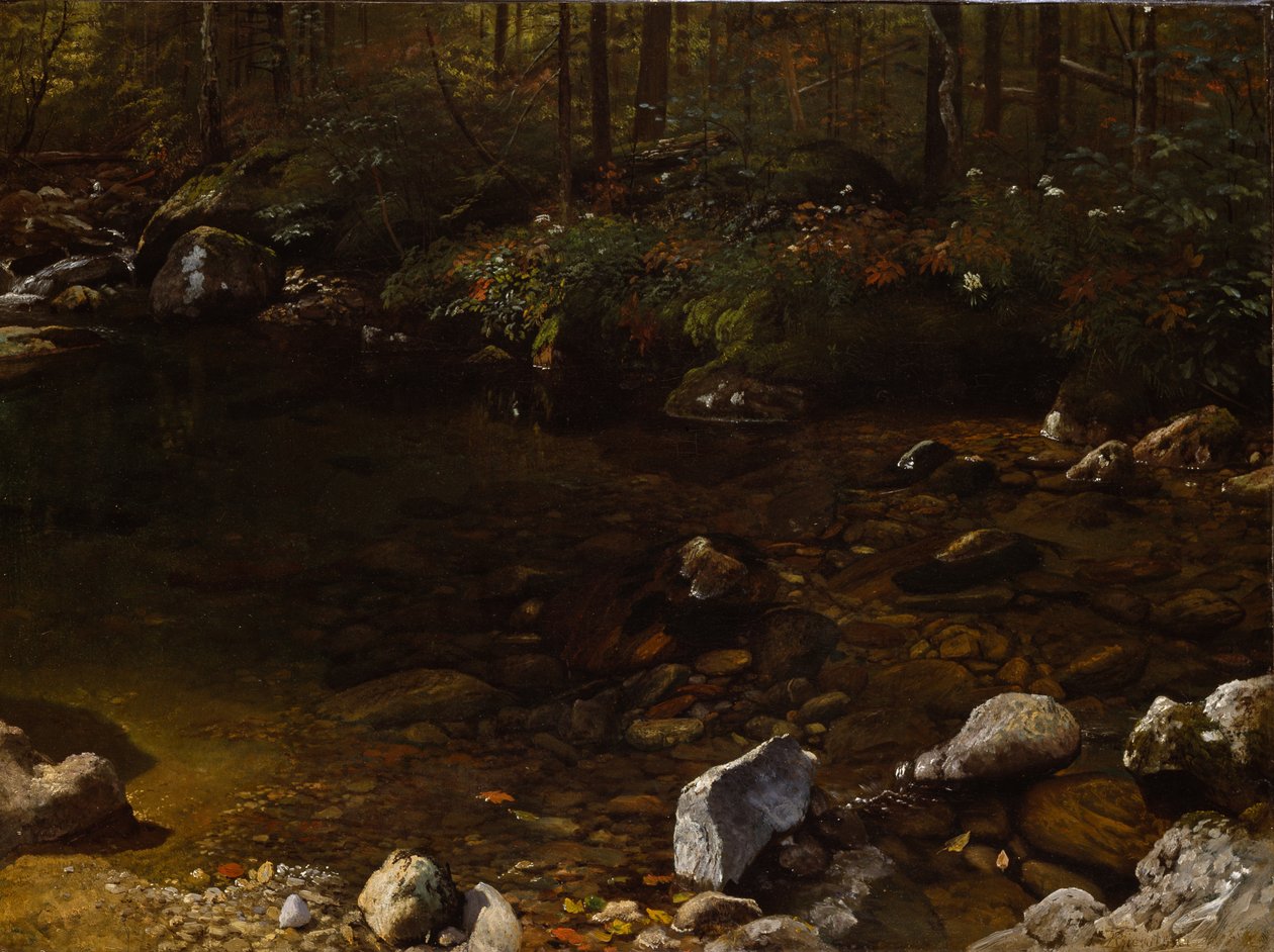 Estanque sombrío, White Mountains, New Hampshire de Albert Bierstadt