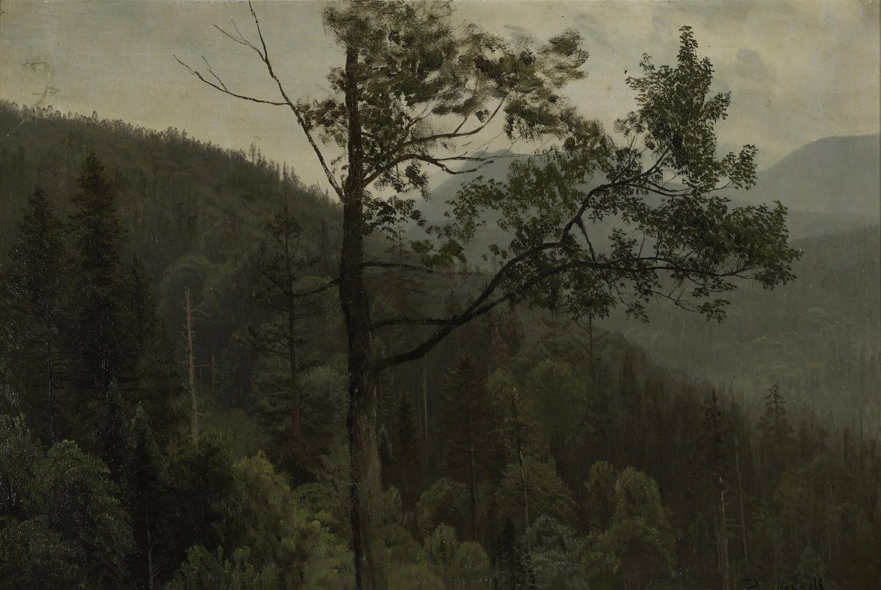 Montañas arboladas de Albert Bierstadt