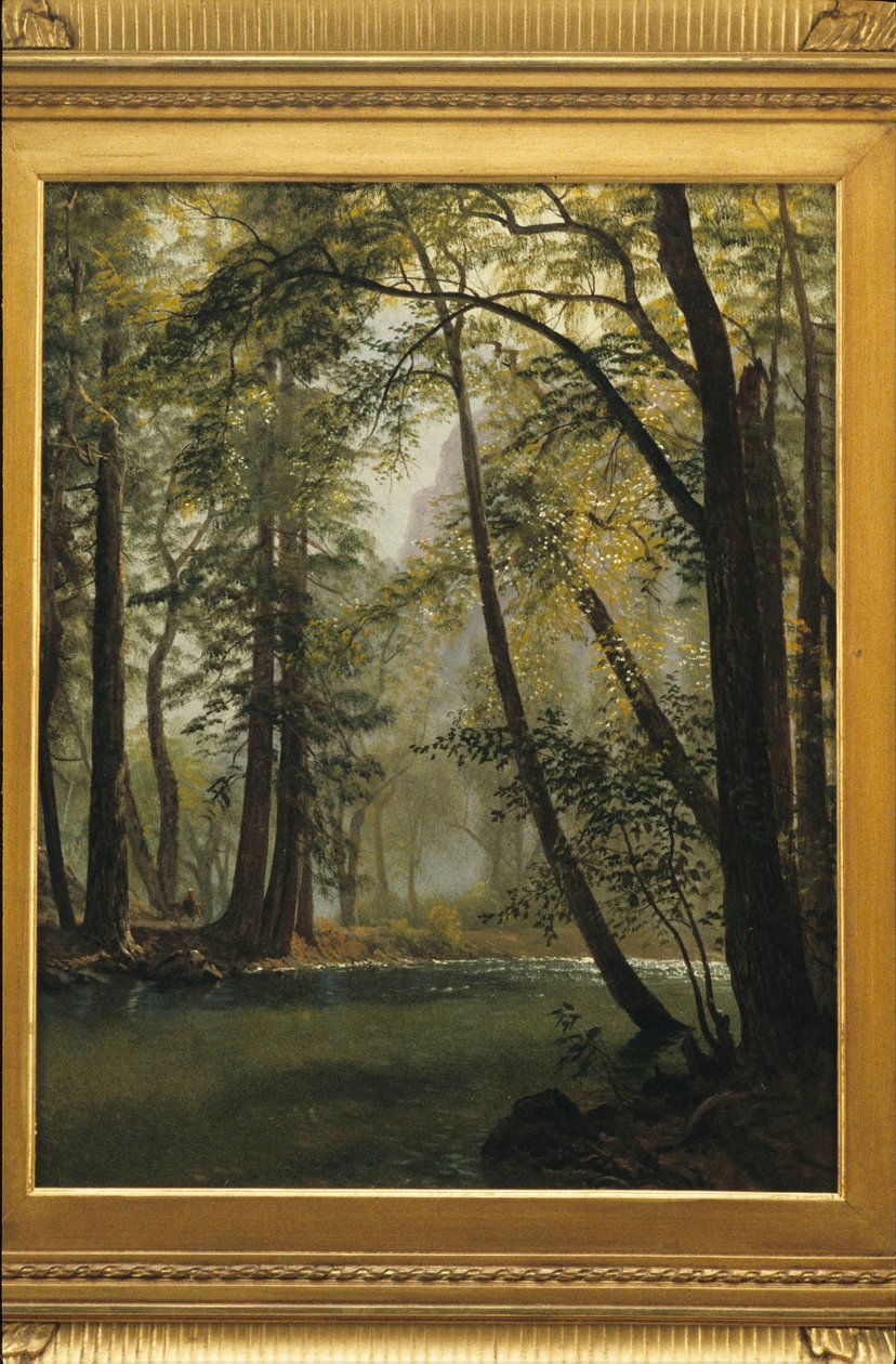 Valle de Yosemite, California de Albert Bierstadt