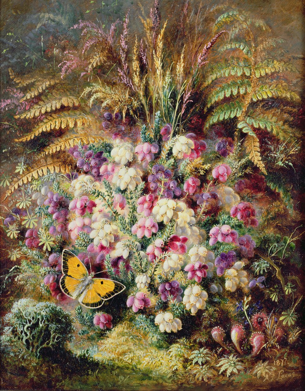 Brezo de Campana, 1877 de Albert Durer Lucas