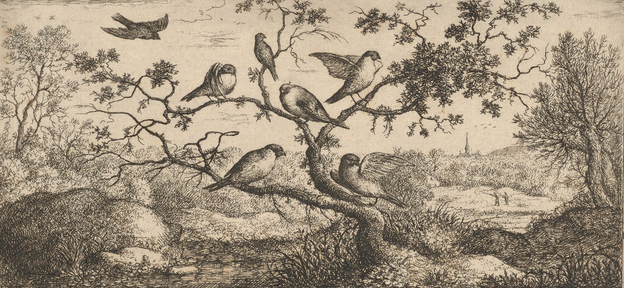 El camachuelo: Libro de aves, 1655-1660 de Albert Flamen