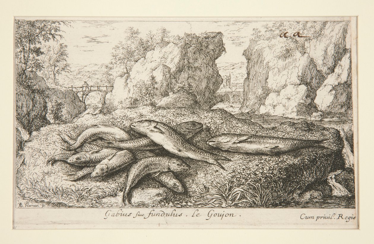 Gabius o Fundus. Le Goujon de Albert Flamen