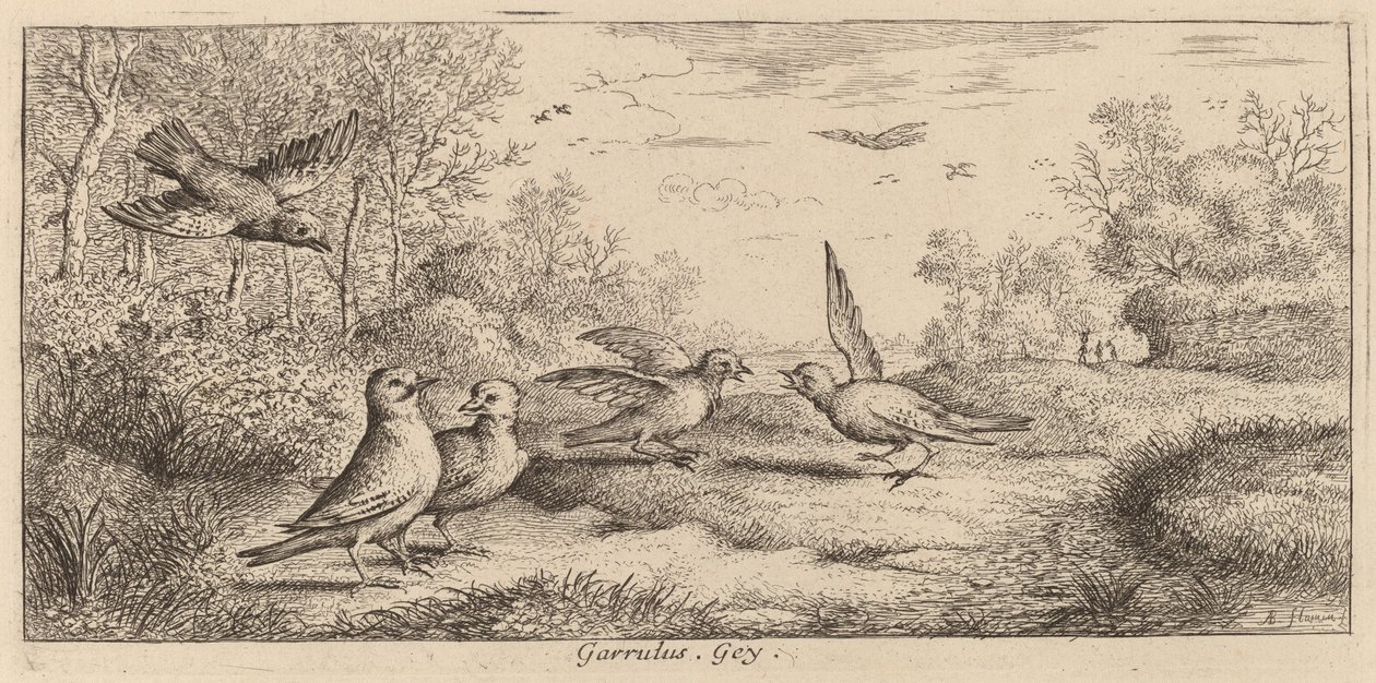 Garrulus, El Arrendajo de Albert Flamen