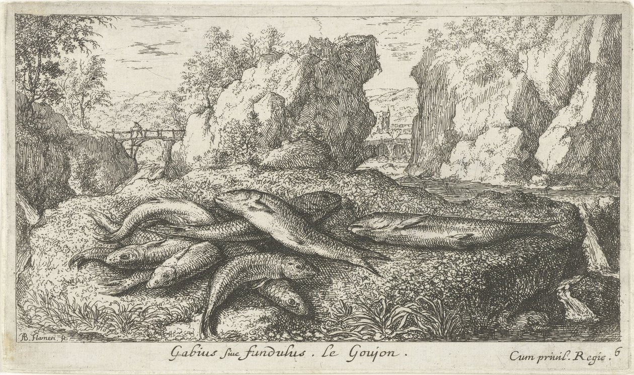Gobios en la orilla de un río Gabius siue fundulus. Le Goujon. (título en el objeto) Peces y otras criaturas marinas: segunda serie de agua dulce (título de la serie) Seconde partie de Poissons d