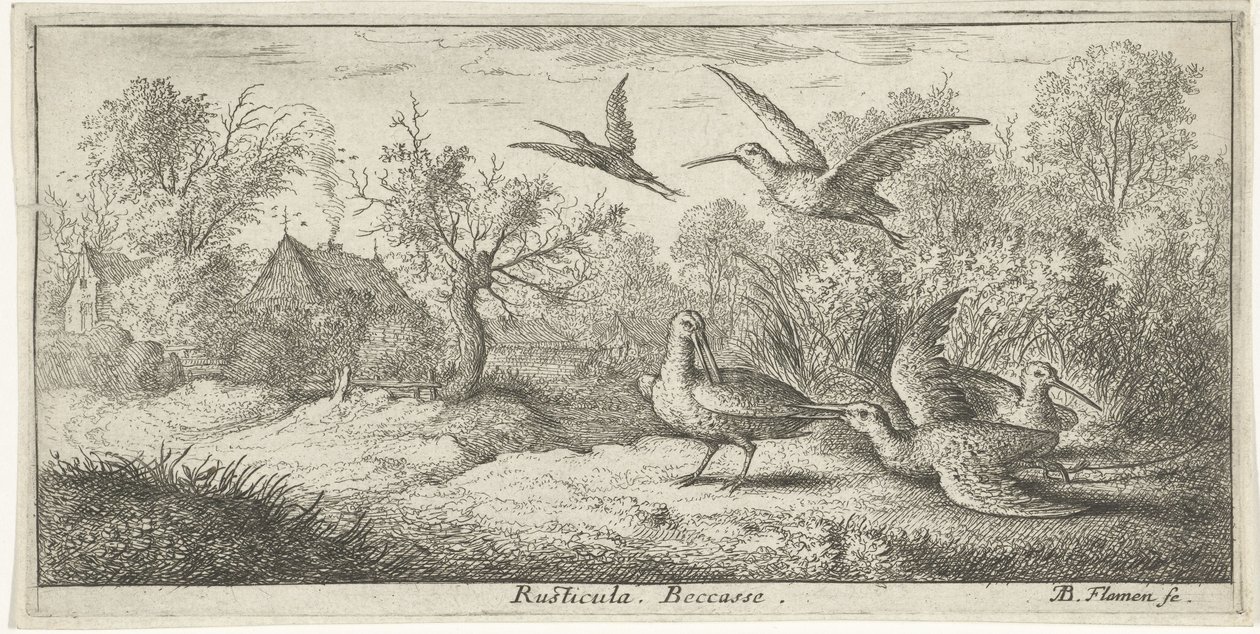 Paisaje con becadas Rústica. Porque. (título en el objeto) Libro de aves (título de la serie) Livre d
