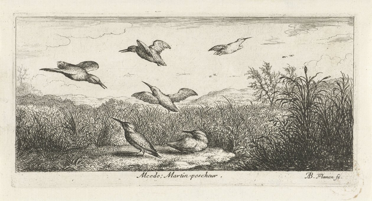 Paisaje con martines pescadores alcedo; Martin-pecrack. (título en el objeto) Libro de aves (título de la serie) Livre d