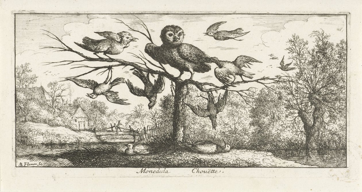 Paisaje con lechuza común entre otras aves Monédula Chouette. (título en el objeto) Libro de aves (título de la serie) Livre d