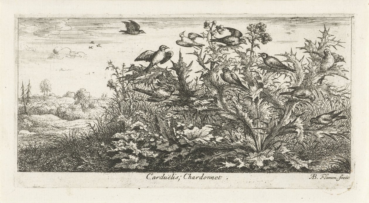Paisaje con jilguero en cardo Carduelis; Chardonneret. (título en el objeto) Libro de aves (título de la serie) Livre d