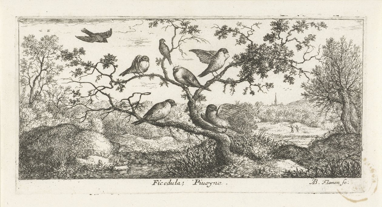 Paisaje con agachadizas ficédula; Piuoyne. (título en el objeto) Libro de aves (título de la serie) Livre d