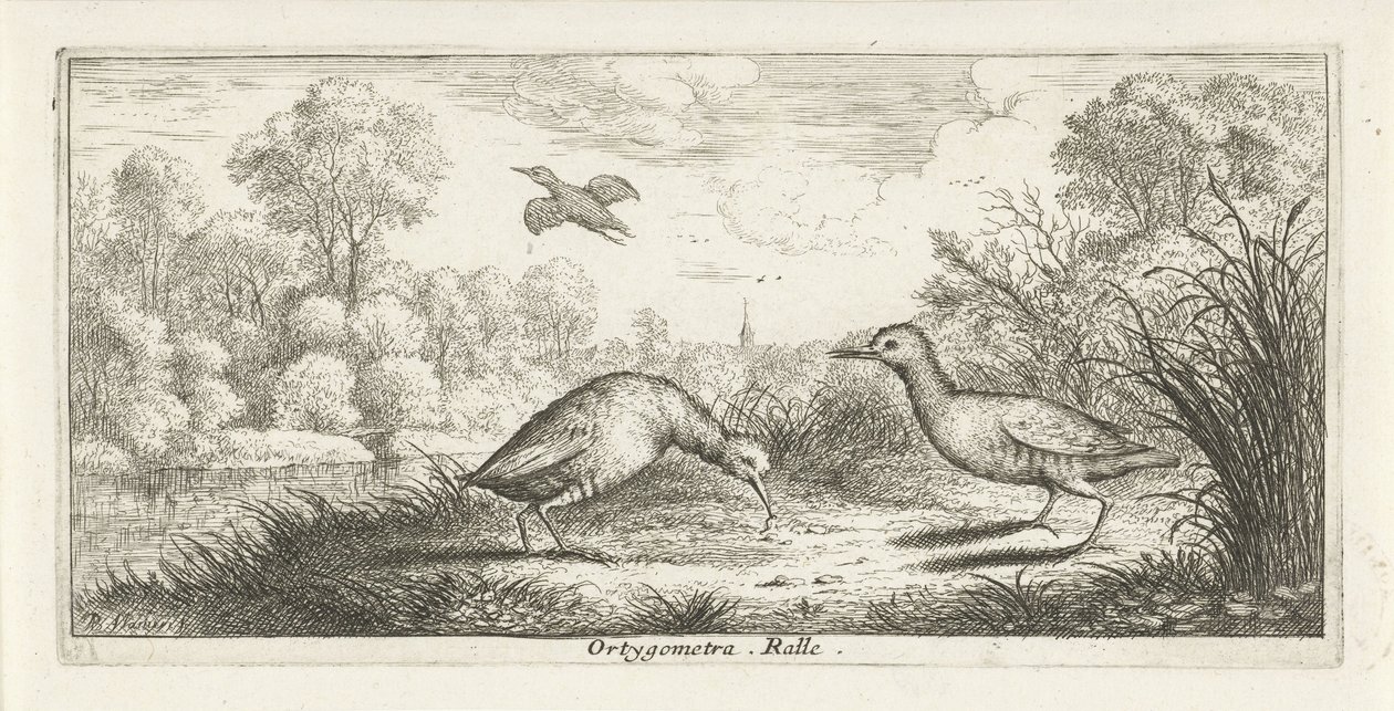 Paisaje con dos rieles en un banco Ortigómetra. regla (título en el objeto) Libro de aves (título de la serie) Livre d