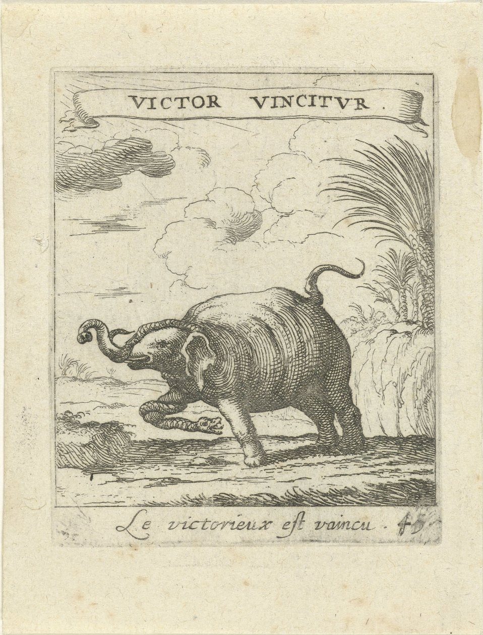 elefante y serpiente Emblemas de amor moralizantes (título de la serie) Devises et emblesmes d