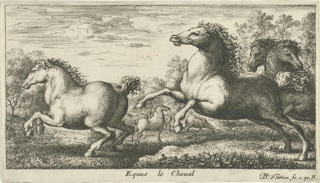 Caballos Equus le Cheval (título sobre objeto) Diferentes especies animales (título de la serie) de Albert Flamen