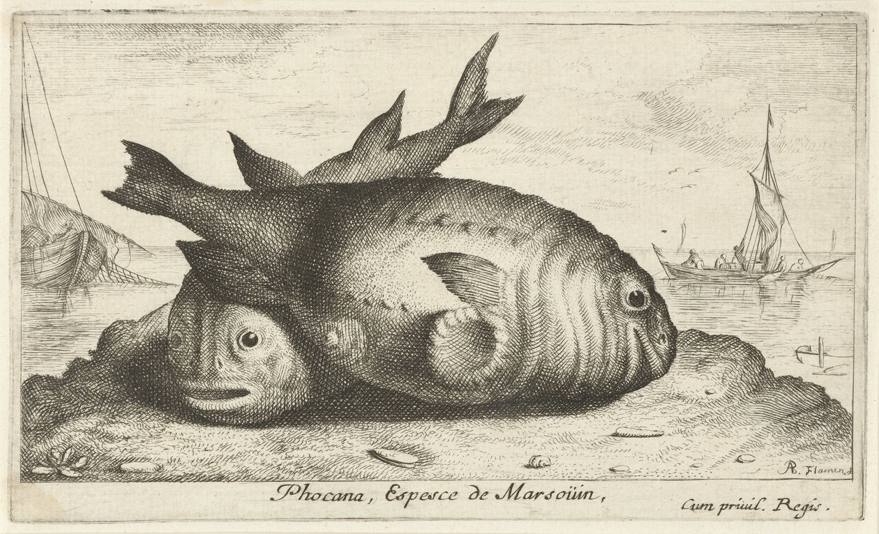 Dos marsopas en la playa Phoca Na, Espèce de Marsoüin, (título sobre objeto) Peces y otras criaturas marinas: tercera serie de agua salada (título de la serie) Poissons de mer (título de la serie) de Albert Flamen
